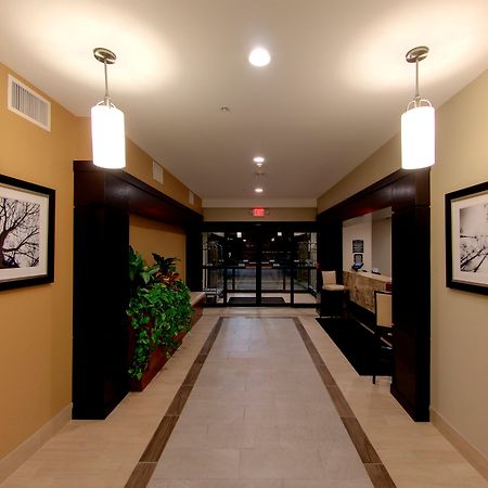 Staybridge Suites Ann Arbor - Research Parkway By Ihg Eksteriør bilde